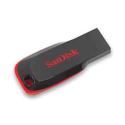 SanDisk Cruzer Blade 2GB USB 2.0 Flash Drive (Black)