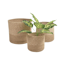 Qalara Braided Jute Basket -Set of 3